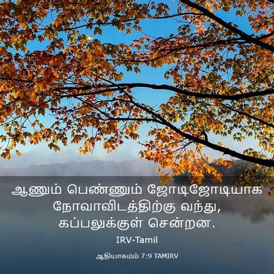 Picture 03 - ஆதியாகமம் 7:9 TAMIRV - ஆணும் பெண்ணும் - Bible Verse Picture