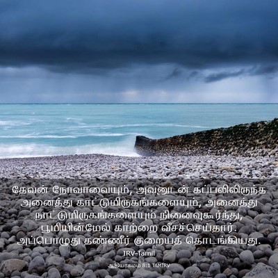 Picture 03 - ஆதியாகமம் 8:1 TAMIRV - தேவன் நோவாவையும், - Bible Verse Picture