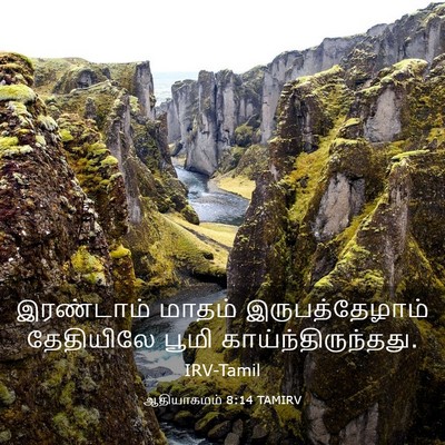 Picture 03 - ஆதியாகமம் 8:14 TAMIRV - இரண்டாம் மாதம் - Bible Verse Picture