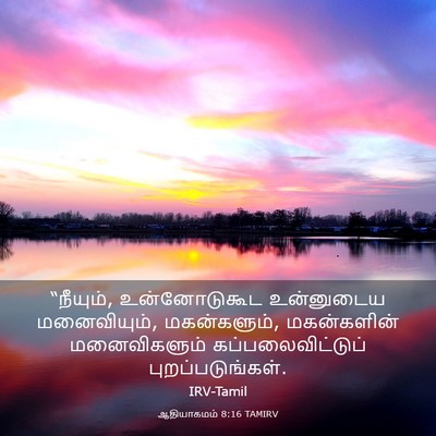 Picture 03 - ஆதியாகமம் 8:16 TAMIRV - “நீயும், - Bible Verse Picture