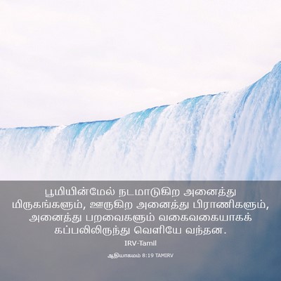 Picture 03 - ஆதியாகமம் 8:19 TAMIRV - பூமியின்மேல் - Bible Verse Picture