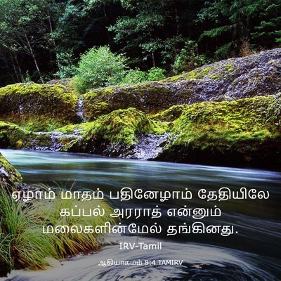 Picture 03 - ஆதியாகமம் 8:4 TAMIRV - ஏழாம் மாதம் - Bible Verse Picture