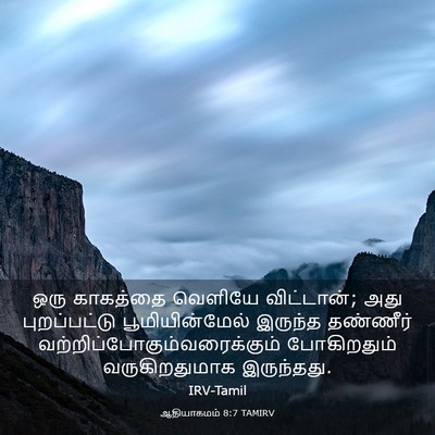 Picture 03 - ஆதியாகமம் 8:7 TAMIRV - ஒரு காகத்தை - Bible Verse Picture