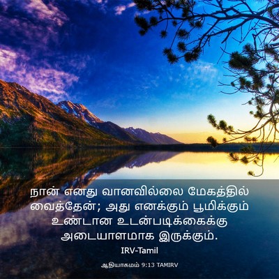 Picture 03 - ஆதியாகமம் 9:13 TAMIRV - நான் எனது - Bible Verse Picture
