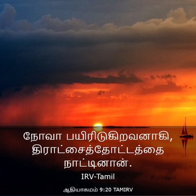 Picture 03 - ஆதியாகமம் 9:20 TAMIRV - நோவா - Bible Verse Picture