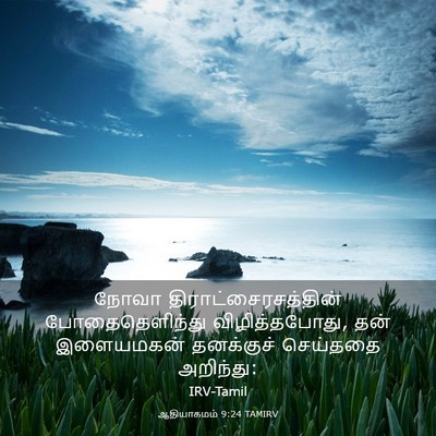 Picture 03 - ஆதியாகமம் 9:24 TAMIRV - நோவா - Bible Verse Picture