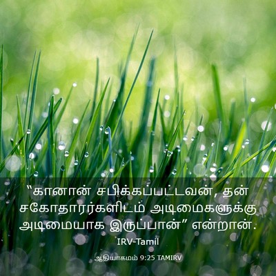 Picture 03 - ஆதியாகமம் 9:25 TAMIRV - “கானான் - Bible Verse Picture