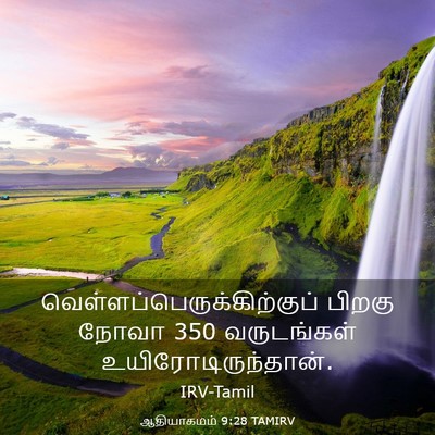 Picture 03 - ஆதியாகமம் 9:28 TAMIRV -  - Bible Verse Picture