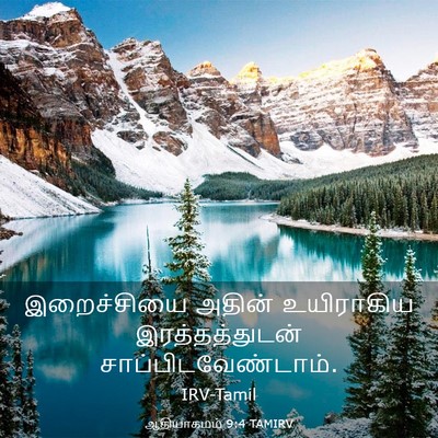 Picture 03 - ஆதியாகமம் 9:4 TAMIRV - இறைச்சியை அதின் - Bible Verse Picture