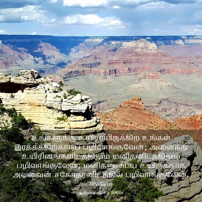 Picture 03 - ஆதியாகமம் 9:5 TAMIRV - உங்களுக்கு - Bible Verse Picture