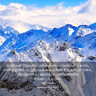 Picture 03 - ஆதியாகமம் 9:6 TAMIRV - மனிதன் தேவசாயலில் - Bible Verse Picture