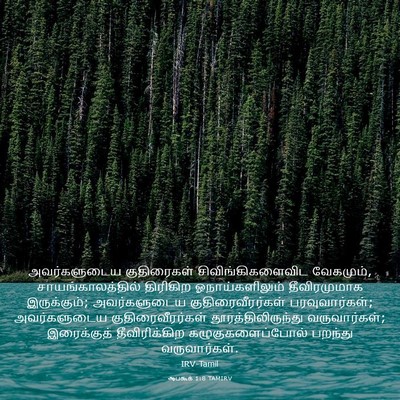 Picture 03 - ஆபகூக் 1:8 TAMIRV - அவர்களுடைய - Bible Verse Picture