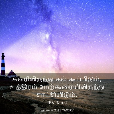 Picture 03 - ஆபகூக் 2:11 TAMIRV - சுவரிலிருந்து கல் - Bible Verse Picture
