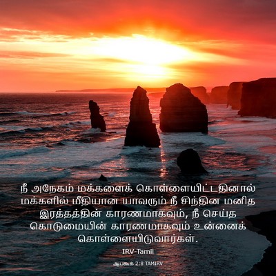 Picture 03 - ஆபகூக் 2:8 TAMIRV - நீ அநேகம் - Bible Verse Picture