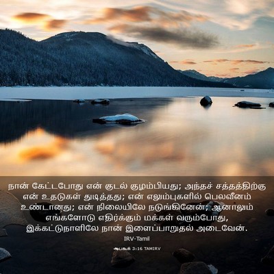 Picture 03 - ஆபகூக் 3:16 TAMIRV - நான் கேட்டபோது - Bible Verse Picture