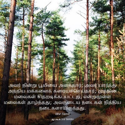 Picture 03 - ஆபகூக் 3:6 TAMIRV - அவர் நின்று - Bible Verse Picture
