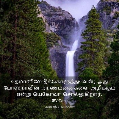 Picture 03 - ஆமோஸ் 1:12 TAMIRV - தேமானிலே - Bible Verse Picture