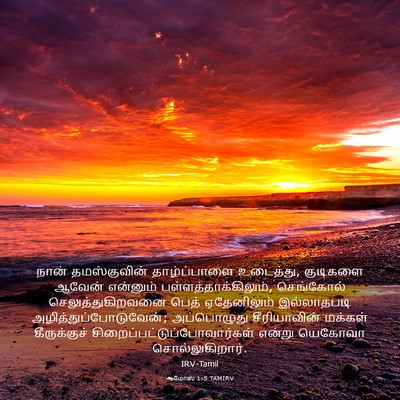 Picture 03 - ஆமோஸ் 1:5 TAMIRV - நான் தமஸ்குவின் - Bible Verse Picture