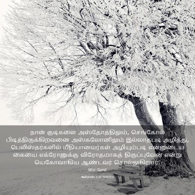 Picture 03 - ஆமோஸ் 1:8 TAMIRV - நான் குடிகளை - Bible Verse Picture