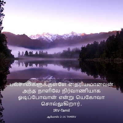 Picture 03 - ஆமோஸ் 2:16 TAMIRV -  - Bible Verse Picture