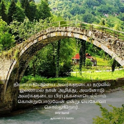 Picture 03 - ஆமோஸ் 2:3 TAMIRV - நியாயாதிபதியை - Bible Verse Picture