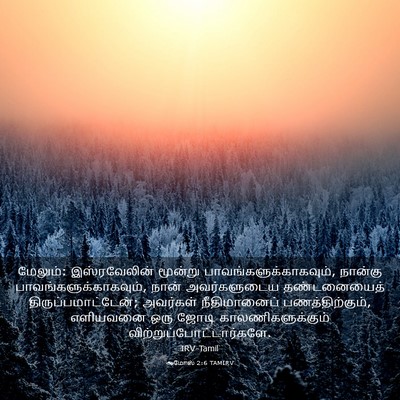 Picture 03 - ஆமோஸ் 2:6 TAMIRV - மேலும்: - Bible Verse Picture