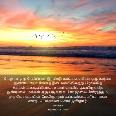 Picture 03 - ஆமோஸ் 3:12 TAMIRV - மேலும்: ஒரு - Bible Verse Picture