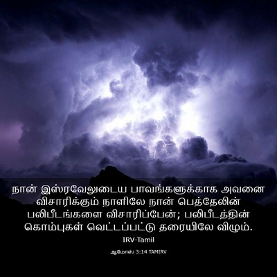 Picture 03 - ஆமோஸ் 3:14 TAMIRV - நான் இஸ்ரவேலுடைய - Bible Verse Picture