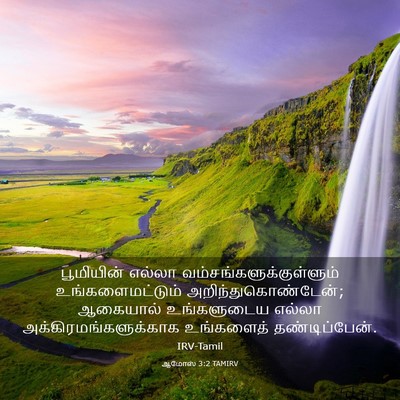 Picture 03 - ஆமோஸ் 3:2 TAMIRV - பூமியின் எல்லா - Bible Verse Picture