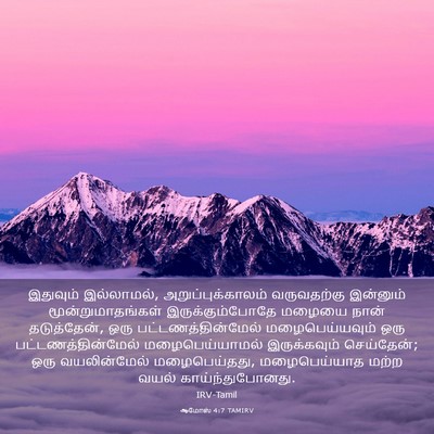 Picture 03 - ஆமோஸ் 4:7 TAMIRV - இதுவும் இல்லாமல், - Bible Verse Picture