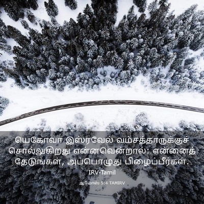 Picture 03 - ஆமோஸ் 5:4 TAMIRV - யெகோவா இஸ்ரவேல் - Bible Verse Picture