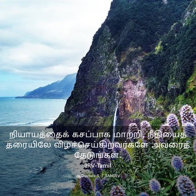 Picture 03 - ஆமோஸ் 5:7 TAMIRV - நியாயத்தைக் - Bible Verse Picture