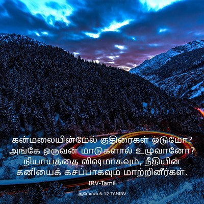 Picture 03 - ஆமோஸ் 6:12 TAMIRV - கன்மலையின்மேல் - Bible Verse Picture