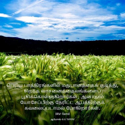 Picture 03 - ஆமோஸ் 6:6 TAMIRV - பெரிய - Bible Verse Picture