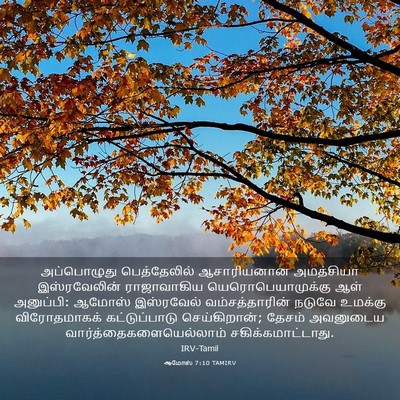 Picture 03 - ஆமோஸ் 7:10 TAMIRV - அப்பொழுது - Bible Verse Picture
