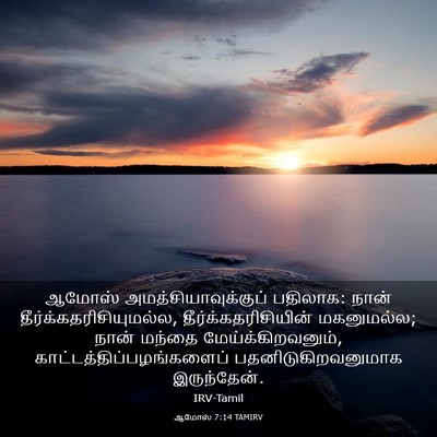 Picture 03 - ஆமோஸ் 7:14 TAMIRV - ஆமோஸ் - Bible Verse Picture
