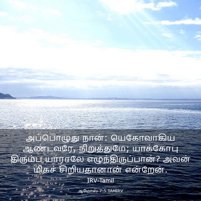 Picture 03 - ஆமோஸ் 7:5 TAMIRV - அப்பொழுது நான்: - Bible Verse Picture