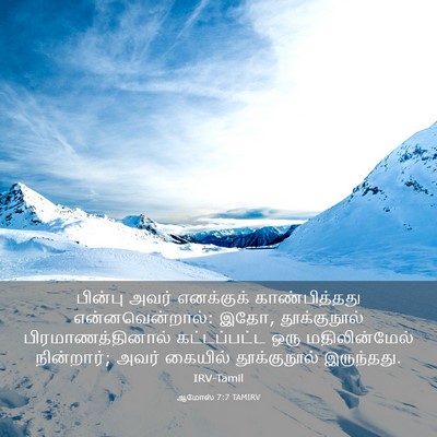 Picture 03 - ஆமோஸ் 7:7 TAMIRV - பின்பு அவர் - Bible Verse Picture