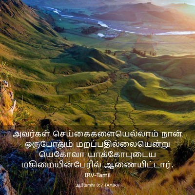 Picture 03 - ஆமோஸ் 8:7 TAMIRV - அவர்கள் - Bible Verse Picture
