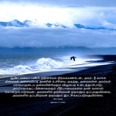 Picture 03 - ஆமோஸ் 9:1 TAMIRV - ஆண்டவரைப் - Bible Verse Picture