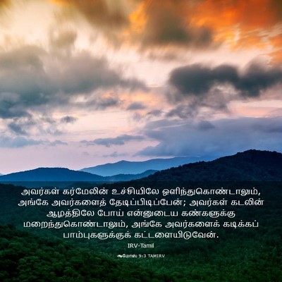Picture 03 - ஆமோஸ் 9:3 TAMIRV - அவர்கள் கர்மேலின் - Bible Verse Picture
