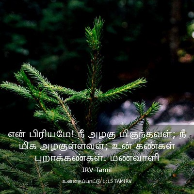 Picture 03 - உன்னதப்பாட்டு 1:15 TAMIRV - என் பிரியமே! நீ - Bible Verse Picture
