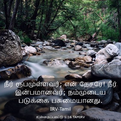 Picture 03 - உன்னதப்பாட்டு 1:16 TAMIRV - நீர் ரூபமுள்ளவர்; - Bible Verse Picture
