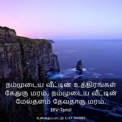Picture 03 - உன்னதப்பாட்டு 1:17 TAMIRV - நம்முடைய வீட்டின் - Bible Verse Picture