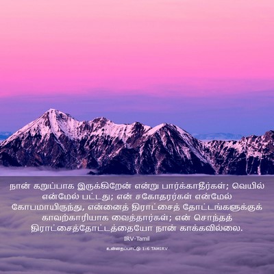Picture 03 - உன்னதப்பாட்டு 1:6 TAMIRV - நான் கறுப்பாக - Bible Verse Picture