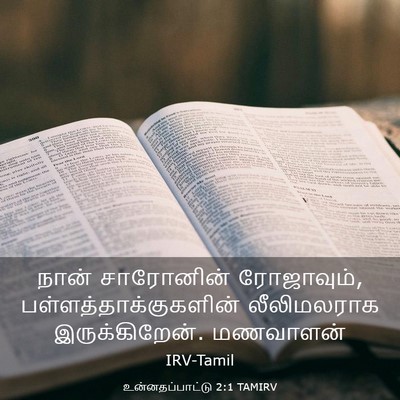 Picture 03 - உன்னதப்பாட்டு 2:1 TAMIRV - நான் சாரோனின் - Bible Verse Picture