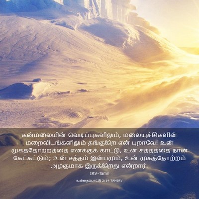 Picture 03 - உன்னதப்பாட்டு 2:14 TAMIRV - கன்மலையின் - Bible Verse Picture
