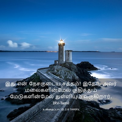 Picture 03 - உன்னதப்பாட்டு 2:8 TAMIRV - இது என் நேசருடைய - Bible Verse Picture