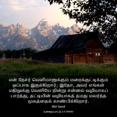 Picture 03 - உன்னதப்பாட்டு 2:9 TAMIRV - என் நேசர் - Bible Verse Picture