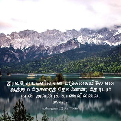 Picture 03 - உன்னதப்பாட்டு 3:1 TAMIRV - இரவுநேரங்களில் - Bible Verse Picture